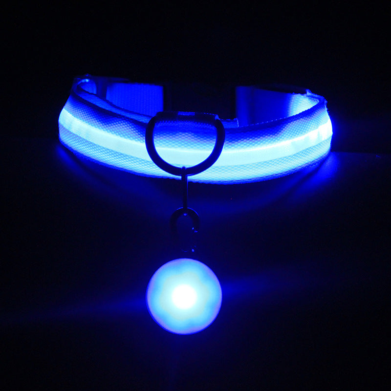 Fancy Luminous Pet Collar