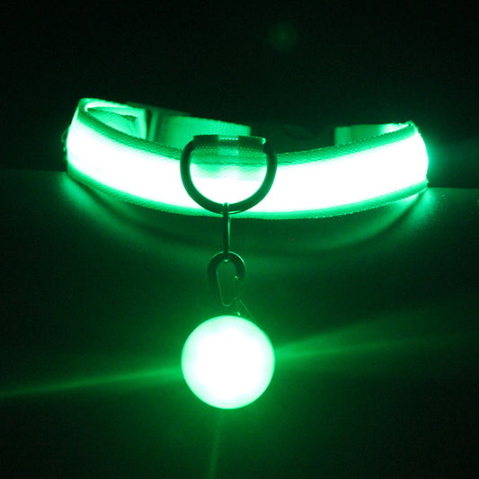 Fancy Luminous Pet Collar